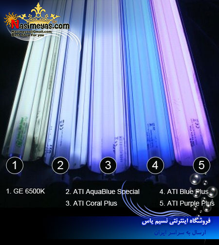 فروش مهتابی Ati AquaBlue Special 39W