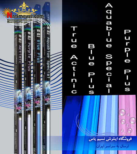 rue Actinic 39W, T5 fluorescent bulb