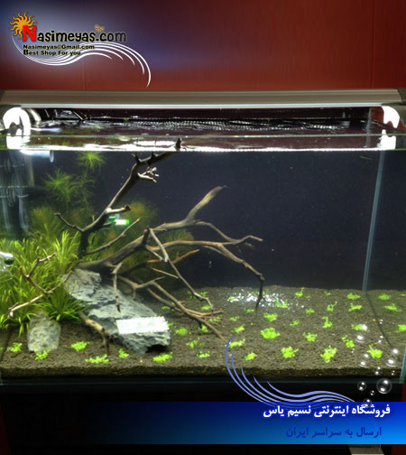 فروش کود و بستر آزو تایوان