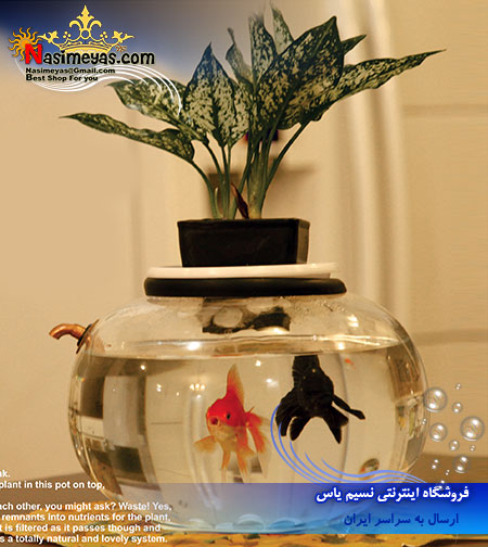 فروش تنگ ماهی کروی شکل با شیر تخلیه مدل G6000 آکوا زن