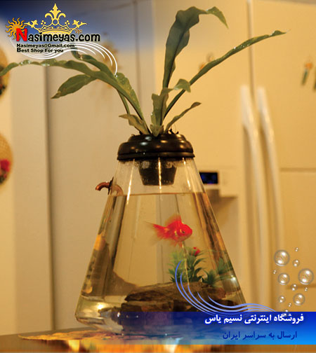 فروش تنگ ماهی هرمی شکل با شیر تخلیه مدل PG800 آکوا زن