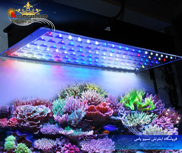 فروش سیستم های نور led آتلانتیک