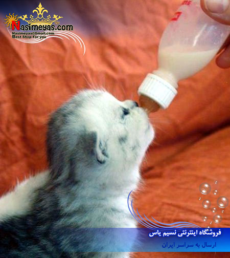 فروش شیر خشک بچه گربه بیفار هلند , beaphar Kitty Milk