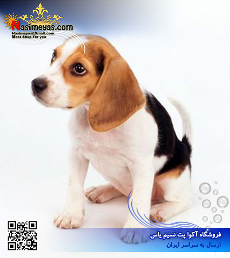 Dr.Clauder's dog milk 450gr