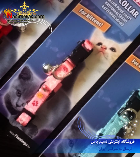 فروش قلاده رنگی برای بچه گربه های بالغ
