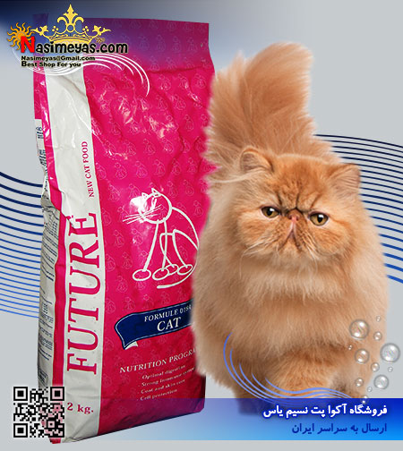 bib pet food Future Formule 0184 cat 2kg