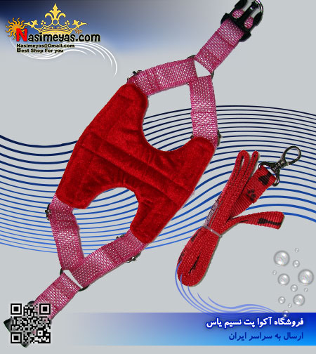 فروش قلاده لباسی سایز 1 با بند قلاده برزنتی لی لی پت lilipet