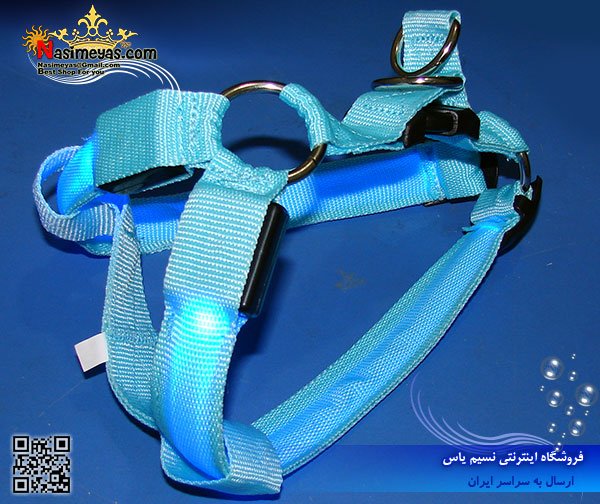 فروش قلاده بدنی ال ای دی دار برزنتی درجه یک NY آکواپت