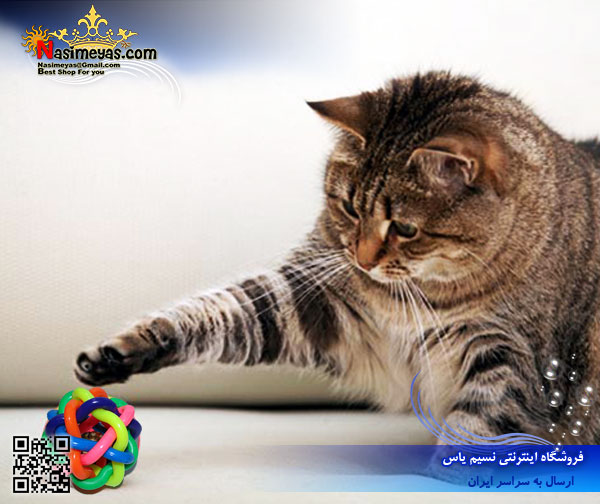 فروش توپ بازی زنگوله دار ماکارونی شکل برای گربه و سگ