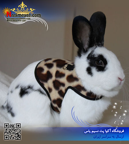 لباس سگ ، گربه و جوندگان سایز 00 قرمز و زرد
