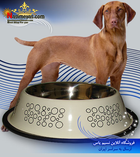 فروش ظرف استیل لعاب دار 25 سانت کرم رنگ سگ و گربه پتز کریشن