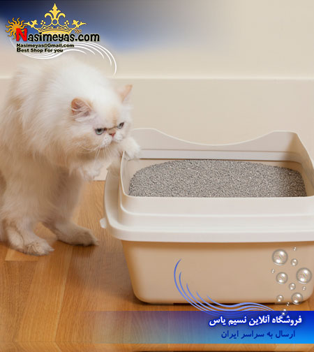 فروش خاک گربه