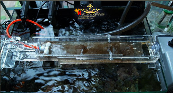 Red starfish acrylic sea ATS filter new AS-407 efficient to remove NO3 algal turf scrubber