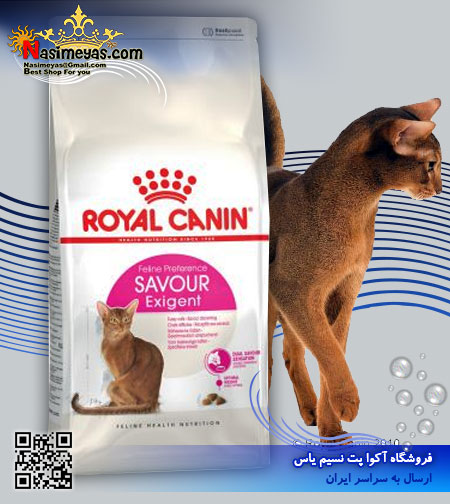 فروش غذای اگزیجنت ساور سانسیشن گربه پر سر و صدا 2 کیلوگرم رویال کنین royal canini فرانسه