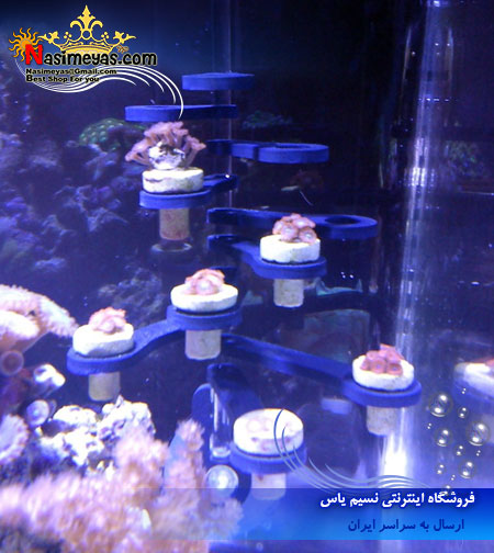 Thrive Frag Tree