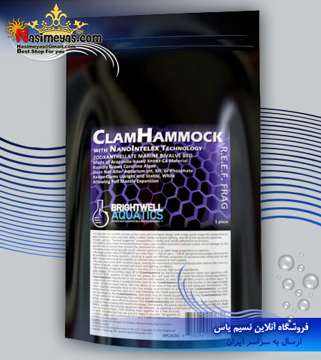 فروش پایه چسباندن صدف کلم هاموک برایت ول ClamHammock