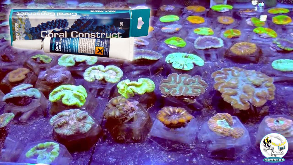 چسب مرجان کونستراکت آکوا مدیک,Aqua Medic CORAL CONSTRUCT
