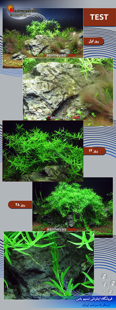pH 6.8 Algae Away Filter