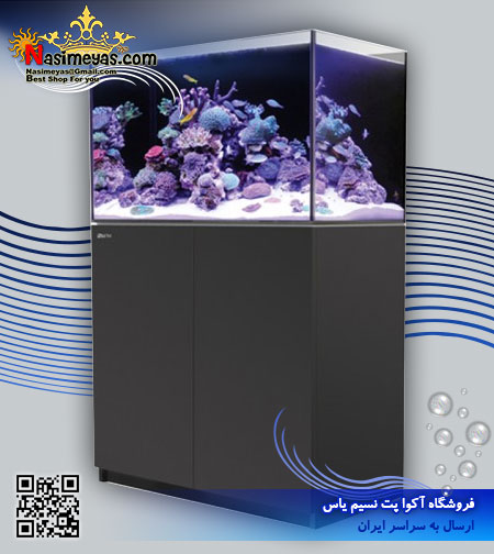 Red Sea reefer system