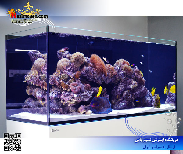 Red Sea reefer xl525