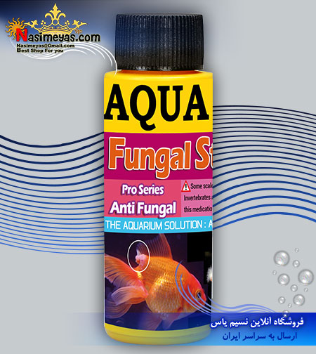 فروش داروی ضد قارچ فانگول آب شیرین 60 میل آکوا استار aqua star ایران در نسیم یاس