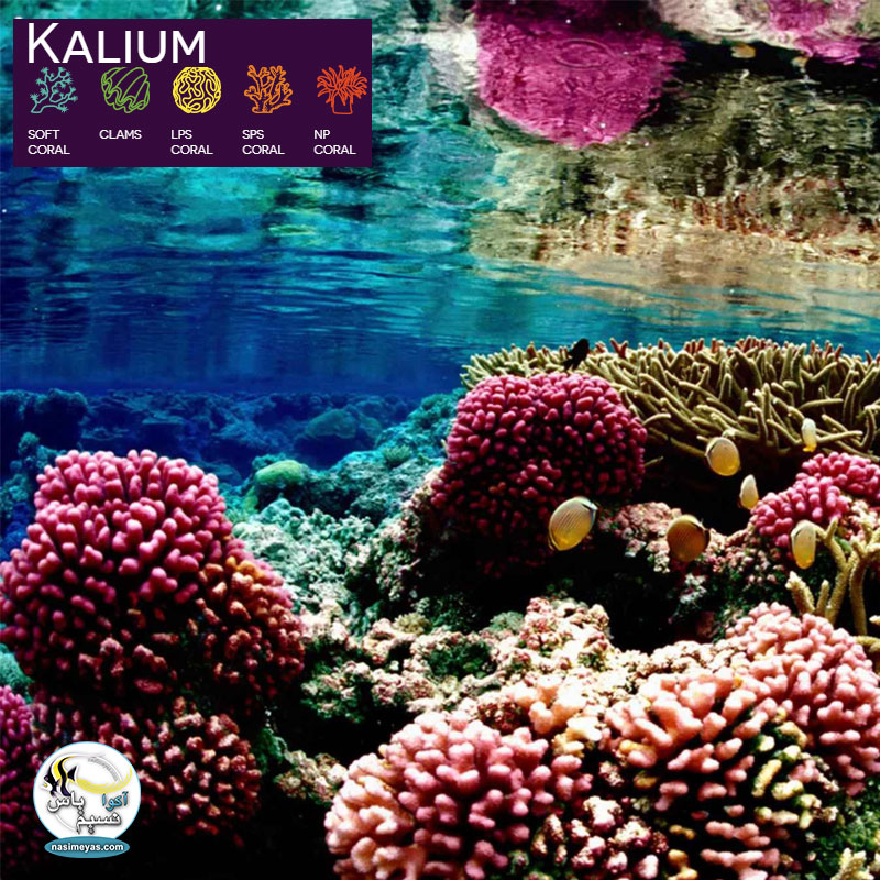 Aquaforest Kalium