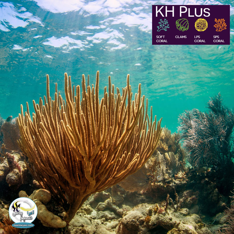 Aquaforest KH Plus