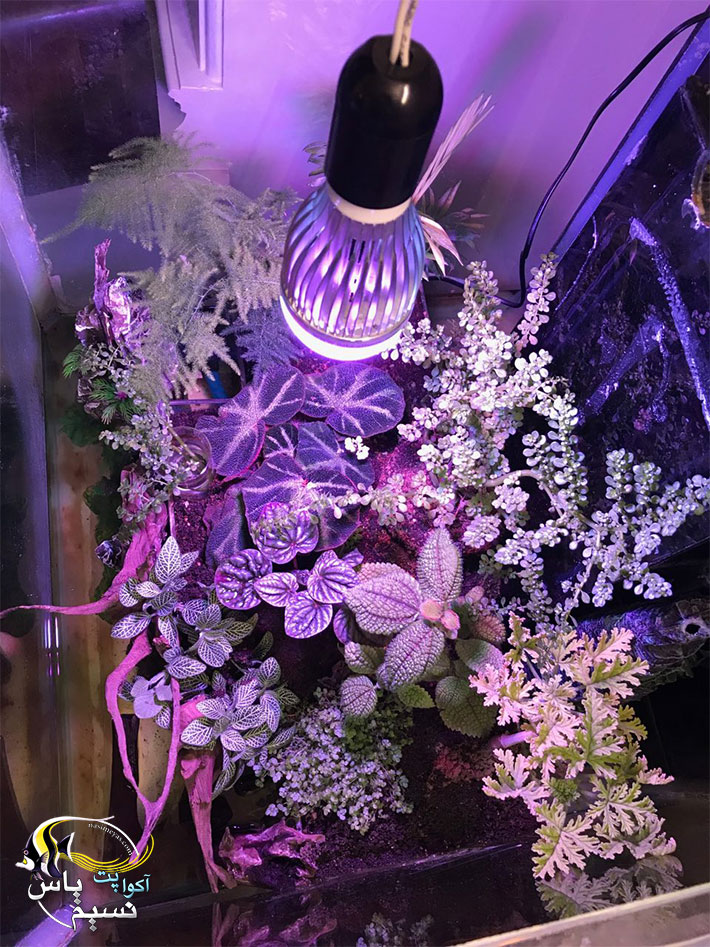 نور ال ای دی گیاهان آپارتمانی و گلخانه 12 وات آتلانتیک