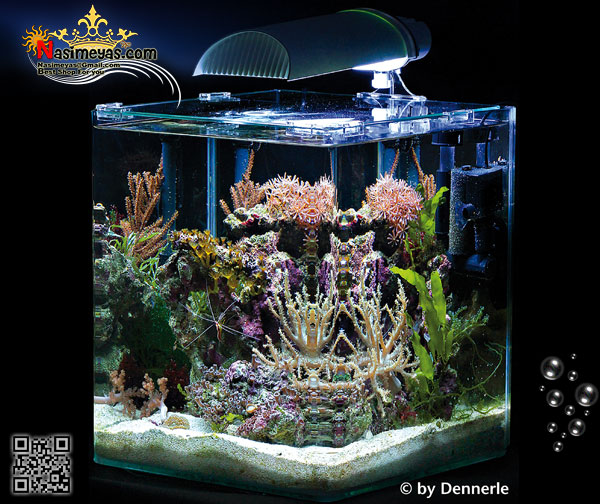 Dennerle nano marine cube 30l