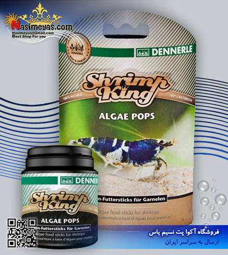 غذای تخصصی میگو آلگی پاپ شریمپ کینگ 40 گرم دنرله ،Shrimp King Algae Pops