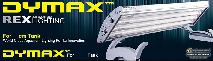 DYMAX Rex-4 Lighting 120cm