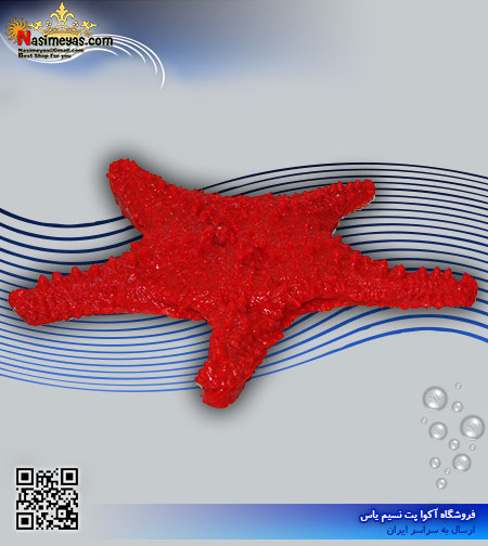 دکور ستاره دریایی مصنوعی کد 142 کورال کالکشن