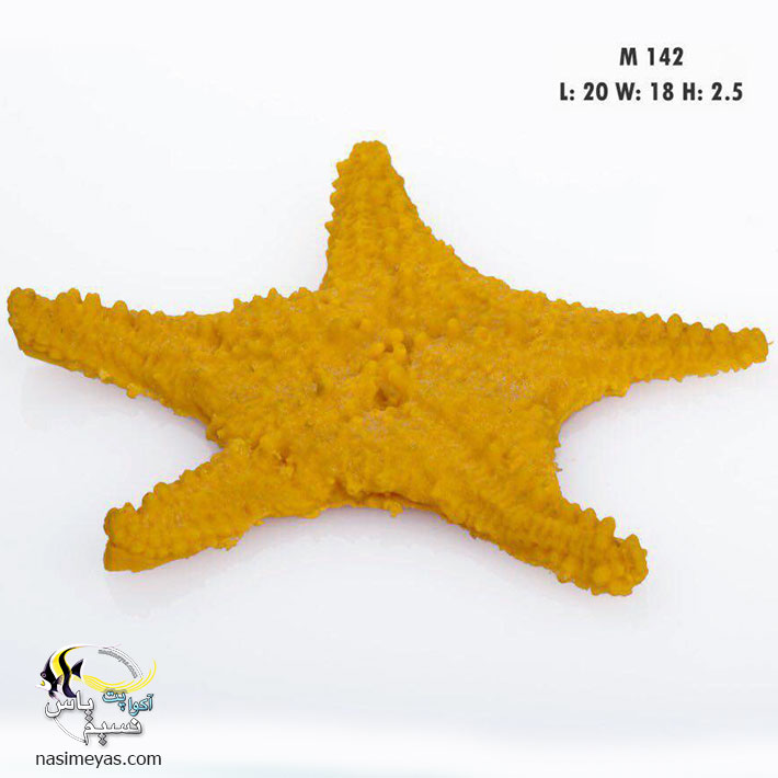 دکور ستاره دریایی مصنوعی کد 142 کورال کالکشن Sea Star