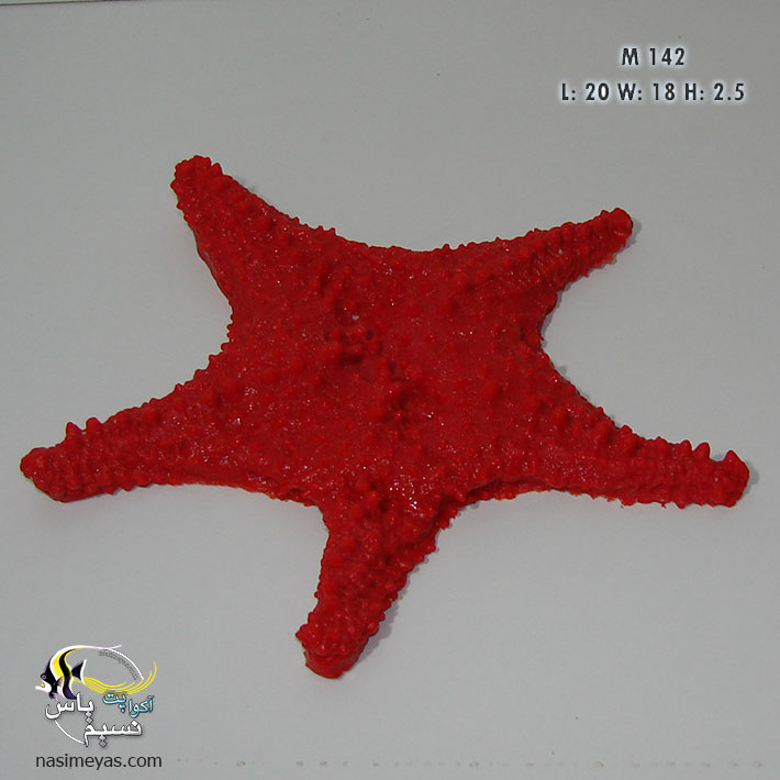 دکور ستاره دریایی مصنوعی کد 142 کورال کالکشنSea Star