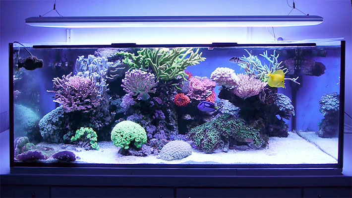 Giesemann aquaristic Matrix II Dimtec 8*54w