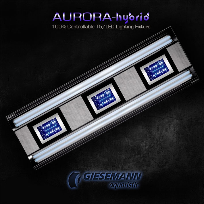 Giesemann Aurora Hybrid 4*39w+2 LED panel