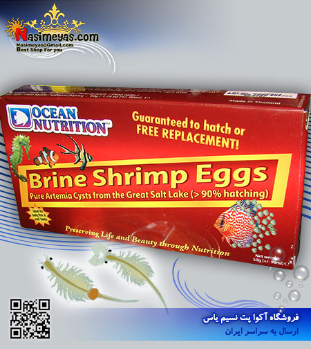 فروش تخم آرتمیا 50 گرم اوشن نوتریشن , Ocean Nutrition brine shrimp eggs