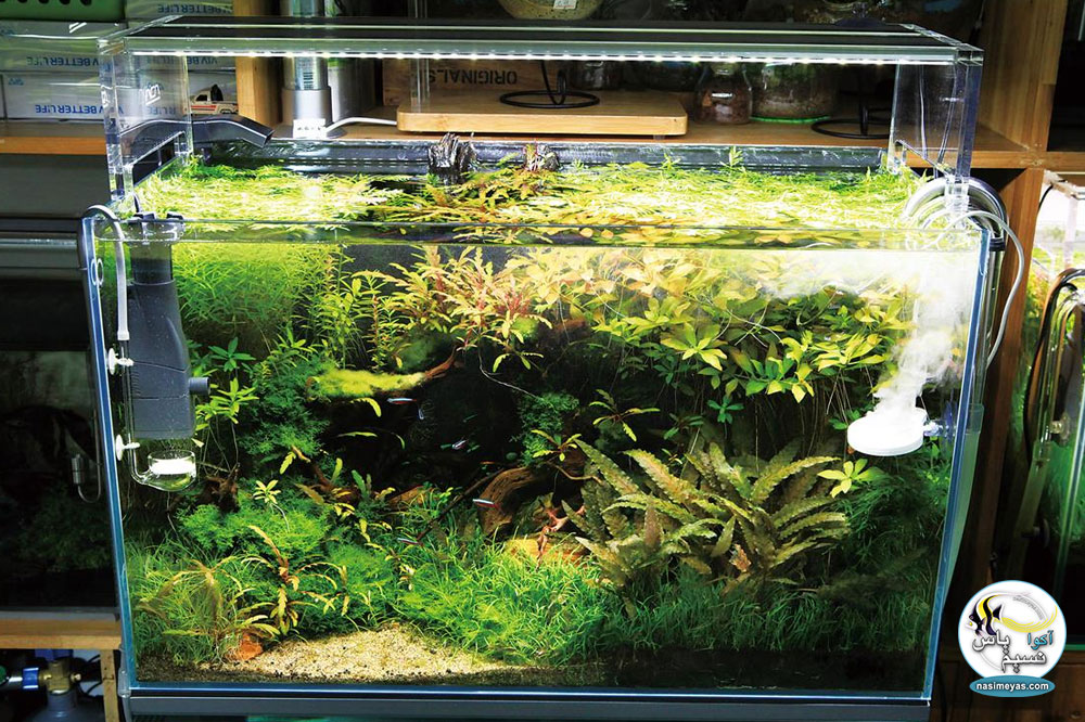Aquarium Chihiros Doctor Inhibit Algae Sterilizer Controller