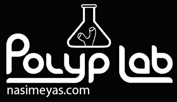 فروش محصولات شرکت پلیپ لب polyp lab آلمان