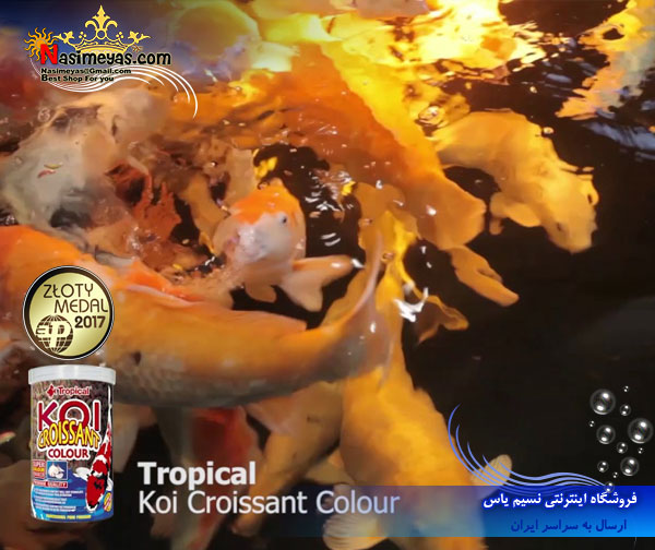 Tropical koi croissant colour 1000ml