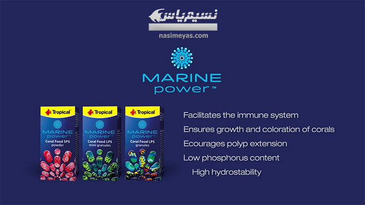 Tropical MARINE POWER fish and reef food