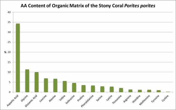 اسید آسپارتیک رایج ترین آمینو اسید در Porites های دریای کارائیب است