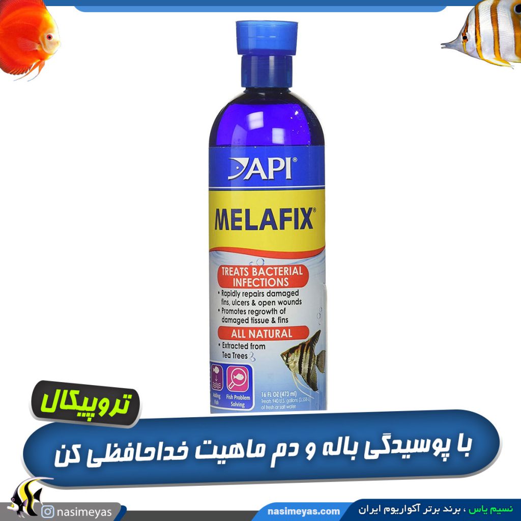 دارو ملافیکس ای پی آی API