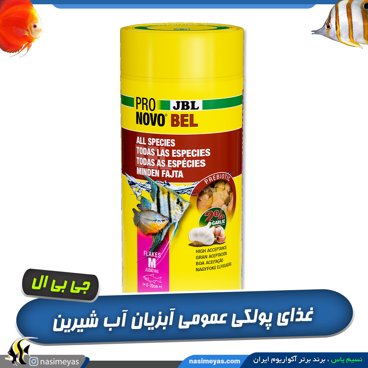 پولکی نوو بل جی بی ال