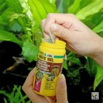 نوو بل جی بی ال