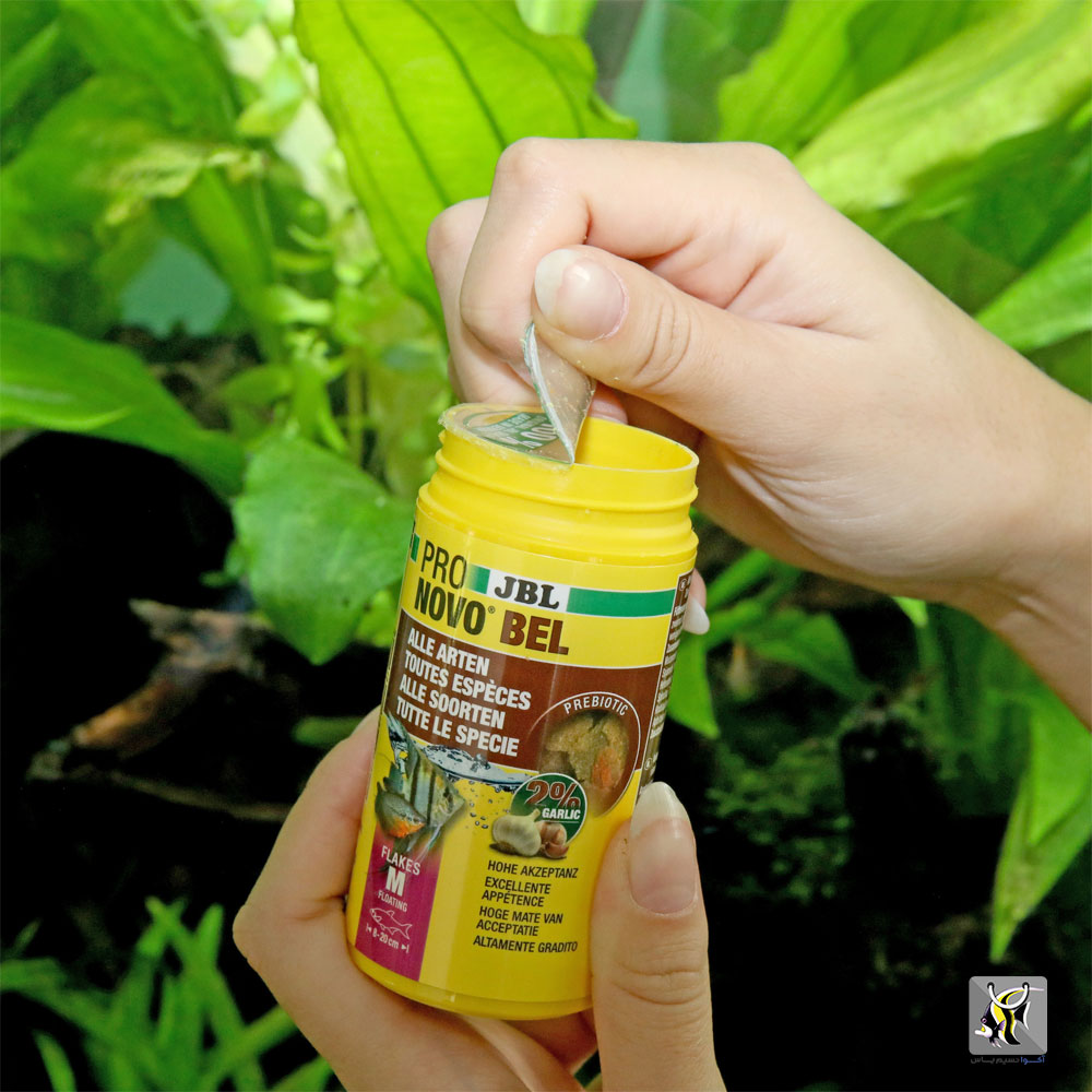 نوو بل جی بی ال