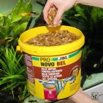 نوو بل جی بی ال