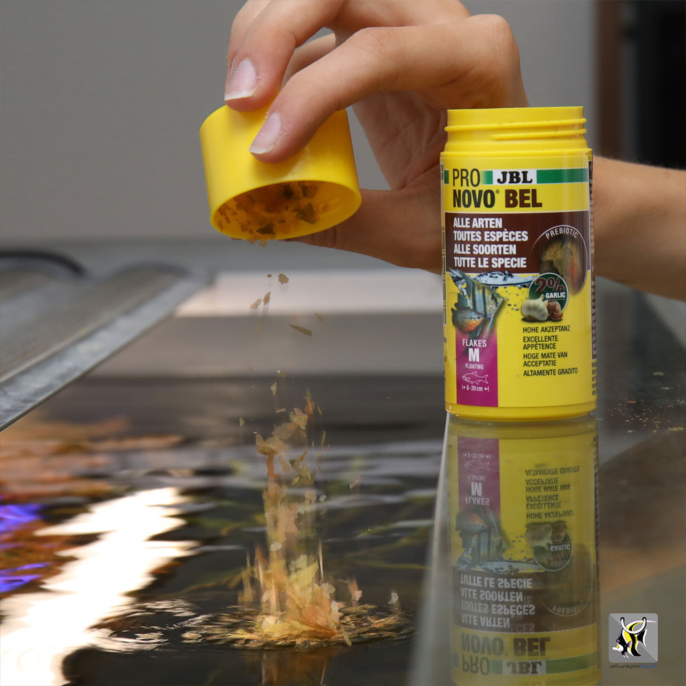 غذای پولکی عمومی آبزیان نوو بل جی بی ال