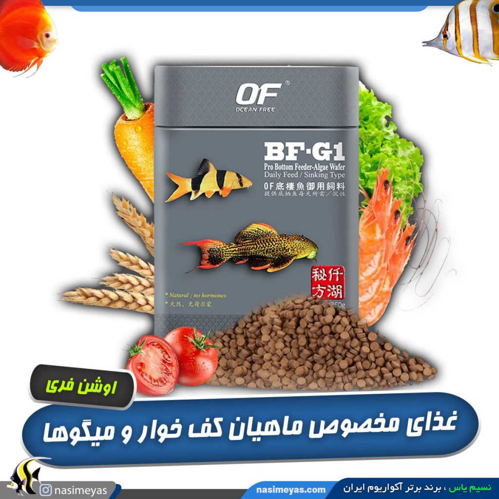 غذای مخصوص میگو و ماهی کت فیش اوشن فری