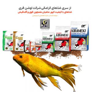 انواع غذای ماهی کوی اوشن فری